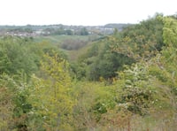 Westfield Parish Council confirm purchase of land