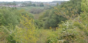 Westfield Parish Council confirm purchase of land