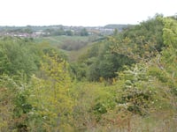 Westfield Parish Council confirm purchase of land