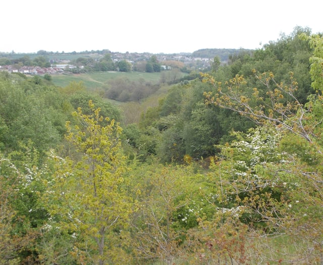 Westfield Parish Council confirm purchase of land