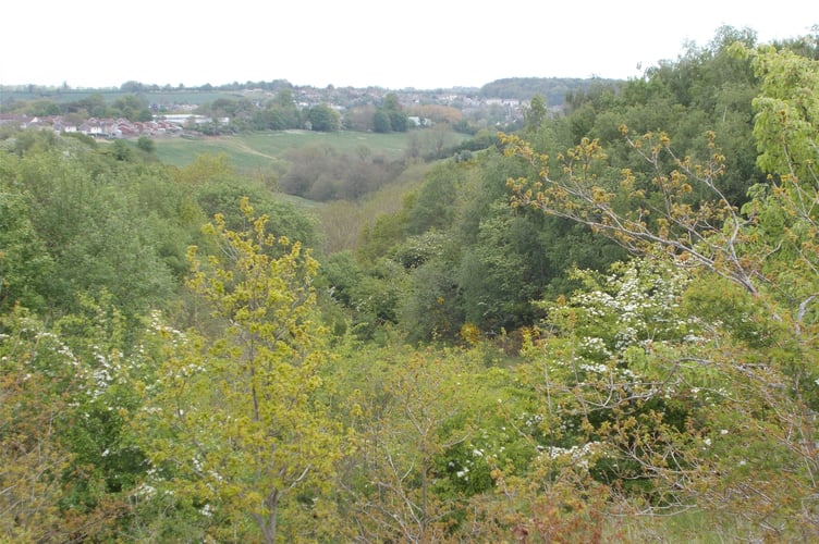 Westfield Parish Council are proposing work for Waterside Valley.