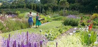 Kilmersdon Gardeners