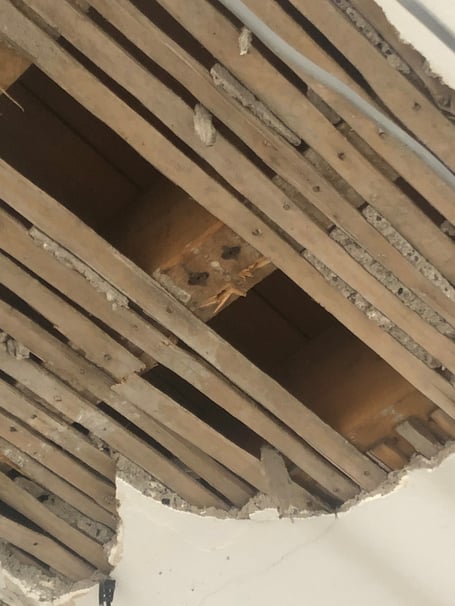 Ground Floor Ceiling Lathe and Plaster was discovered.