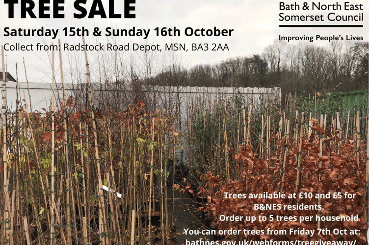 B&NES Council to hold tree selling sale in Midsomer Norton this weekend.