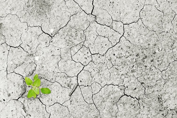Climate change is happening. 