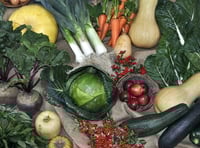 Churches to host Harvest festivals
