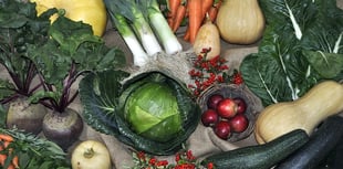 Churches to host Harvest festivals
