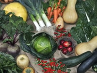 Churches to host Harvest festivals
