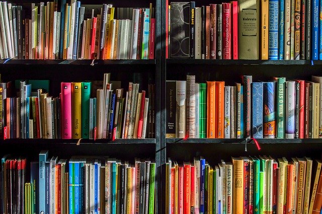 rows of books on a shelf