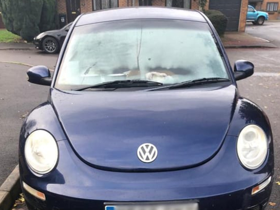 Edwina’s car, which her and her rescue dog Willow are living in.