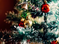 2024 Christmas extravaganza at Paulton’s Memorial Park