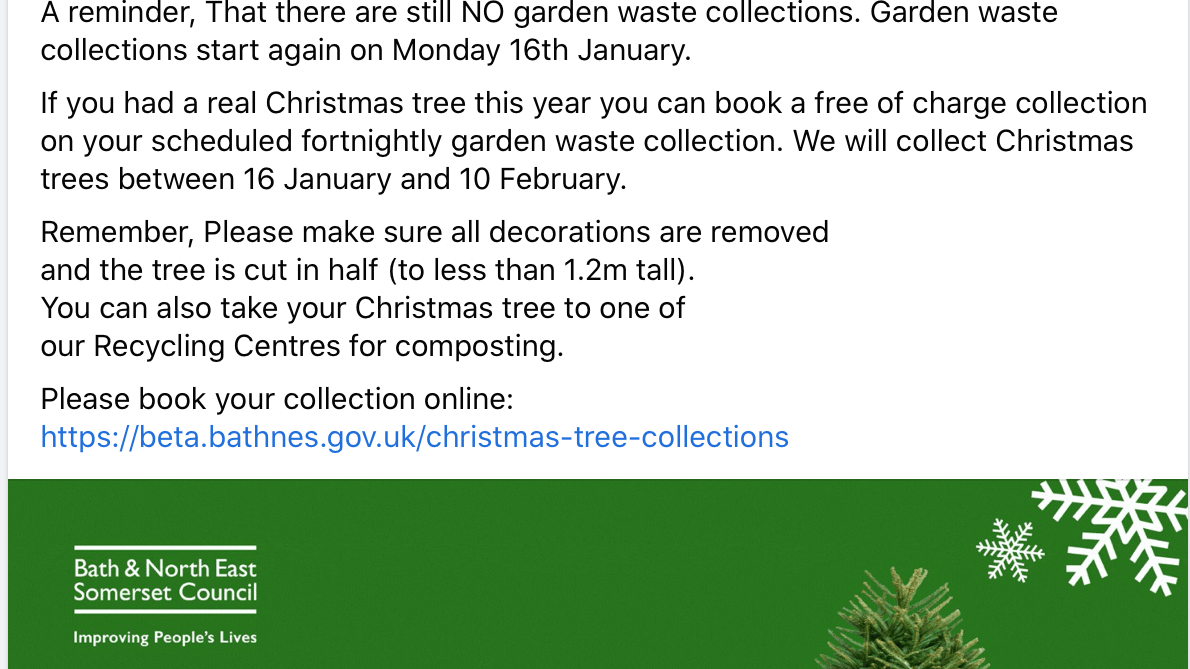 B&NES Council encourage responsible disposal of Christmas trees
