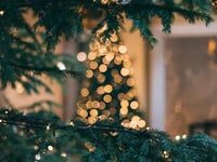 Christmas cheer
