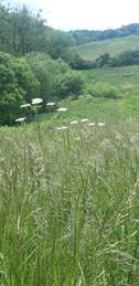 Improving your area:See what Westfield Parish Council achieved in 2022
