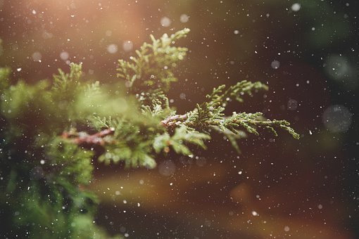 Light up Christmas