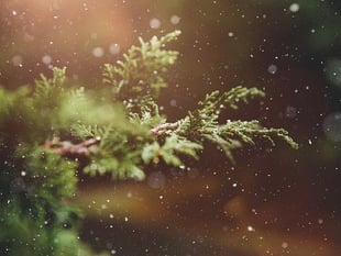 Light up Christmas