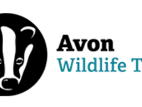 Chew Valley Wildlife Group Jumble Sale this Saturday