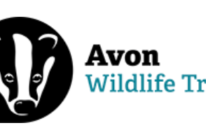 Avon Wildlife Trust