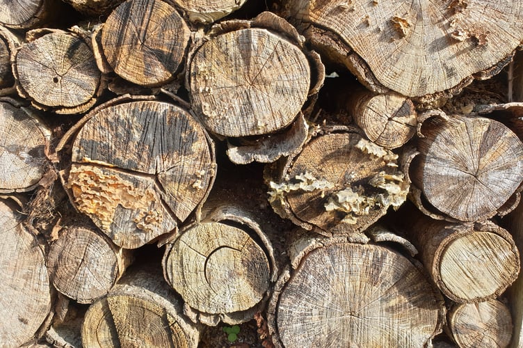 Re-Wild Chew to hold talk. 