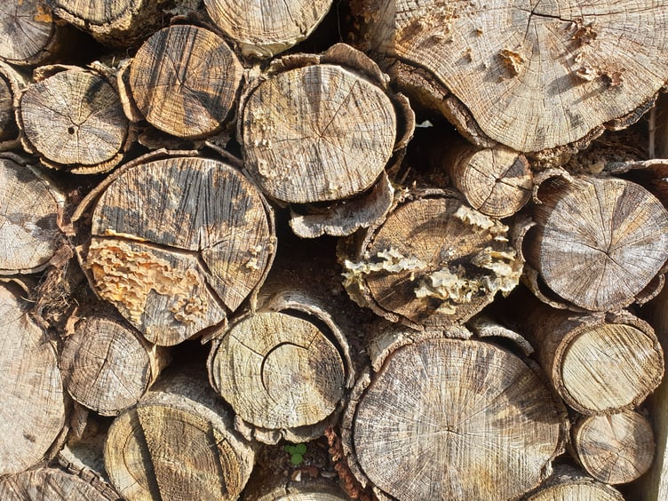 Re-Wild Chew to hold talk.