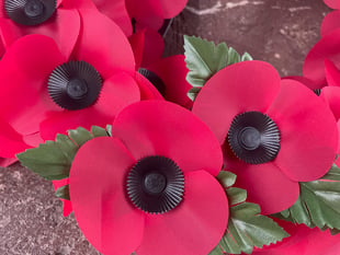 B&NES Council stop funding Remembrance Sunday, causing political spat