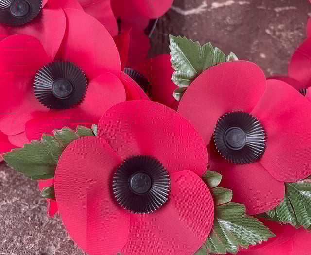 B&NES Council stop funding Remembrance Sunday, causing political spat