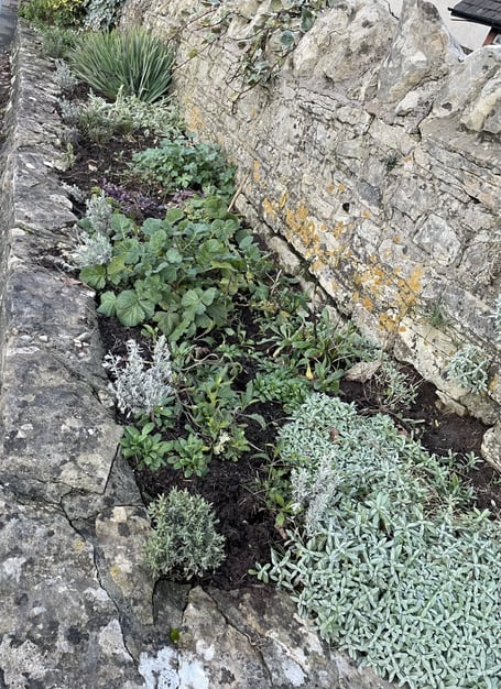 Gardening tips all round.