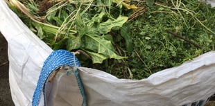 New Year, new compost heap?