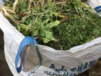 New Year, new compost heap?