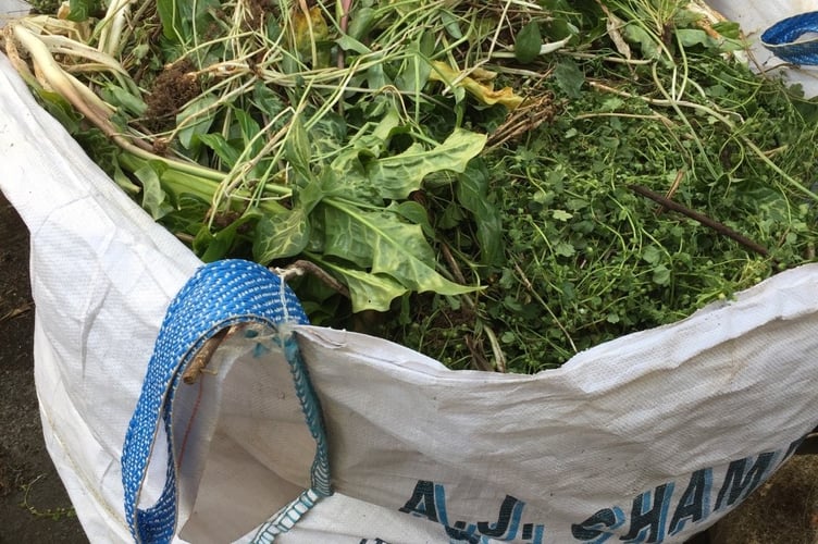 Midsomer Garden Diaries explains how home-grown composting helps. 