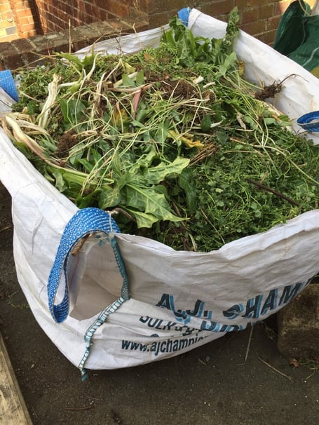 Midsomer Garden Diaries explains how home-grown composting helps. 