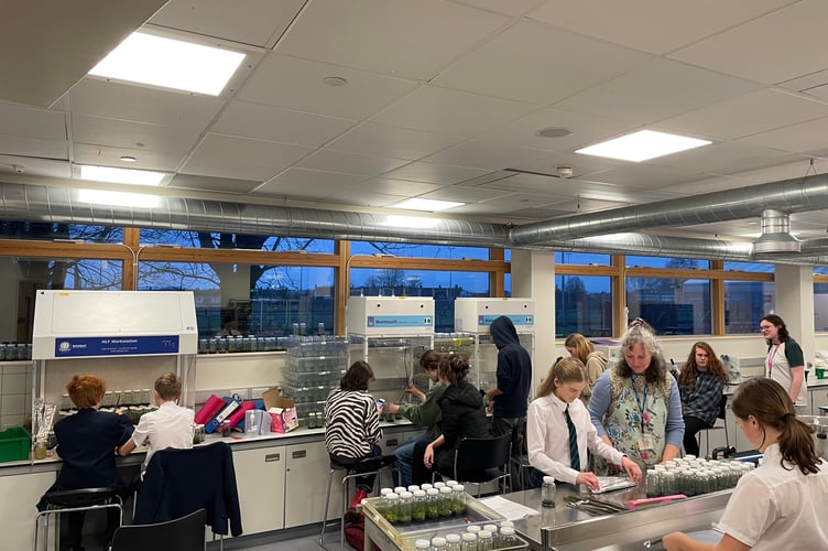 Writhlington School students are preparing for a visit from students and teachers from Borneo to learn about orchid cultivation and conservation. 
