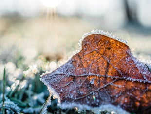 B&NES winter fleet grit as temperatures plummet 