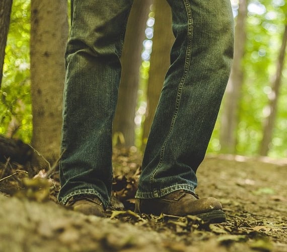 wood walk