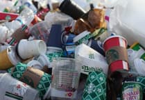 Residents advised on Christmas tree collections and recycling rules