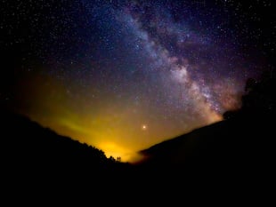 Chris Packham urges people to take part in 20 minute star counts