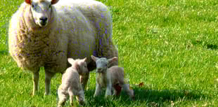 Police launch new system for reporting rural and wildlife crime