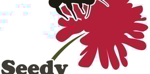 Get seedy with Seedy Saturday