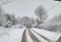 Roads, schools and buses come to a halt as snow covers Somerset