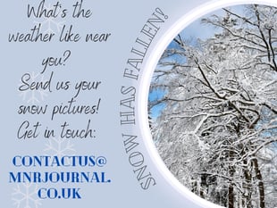 Send in your snowy scenes