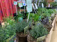 Mendip Garden Club explores heirloom vegetables and winter gardening