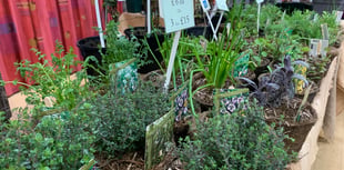 Mendip Garden Club explores heirloom vegetables and winter gardening