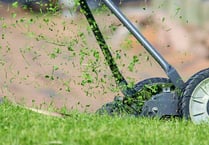 Please cut the grass! Asks one local resident