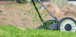 Your letters: B&NES grass cutting