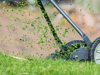 Please cut the grass! Asks one local resident