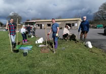 Queen’s Jubilee trees planted on village field
