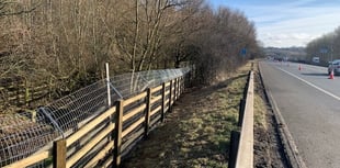 National Highways are working to improve wildlife habitat in Bath