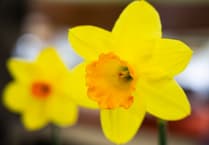 Norton Down Methodist Church presents ladies with spring flowers