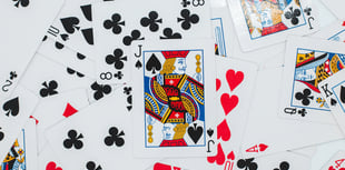 Calling all bridge players!