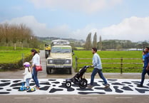 Yeo Valley Organic creates the UK's first of many 'cow crossings'